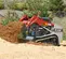 Cargador sobre orugas compacto Takeuchi rojo
