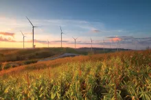 Imagen destacada de servicios ambientales (molinos de viento)
